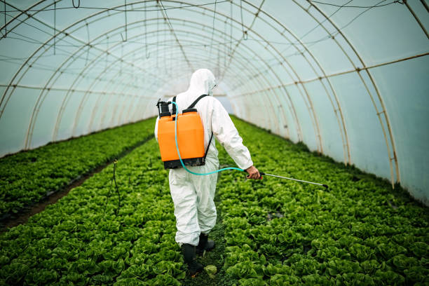 Best Pest Inspection Near Me  in Storm Lake, IA