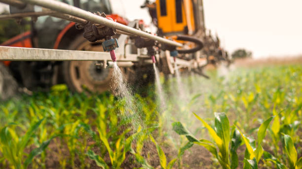 Best Residential Pest Control  in Storm Lake, IA