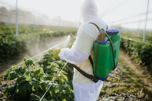 Best Pest Control for Homes  in Storm Lake, IA
